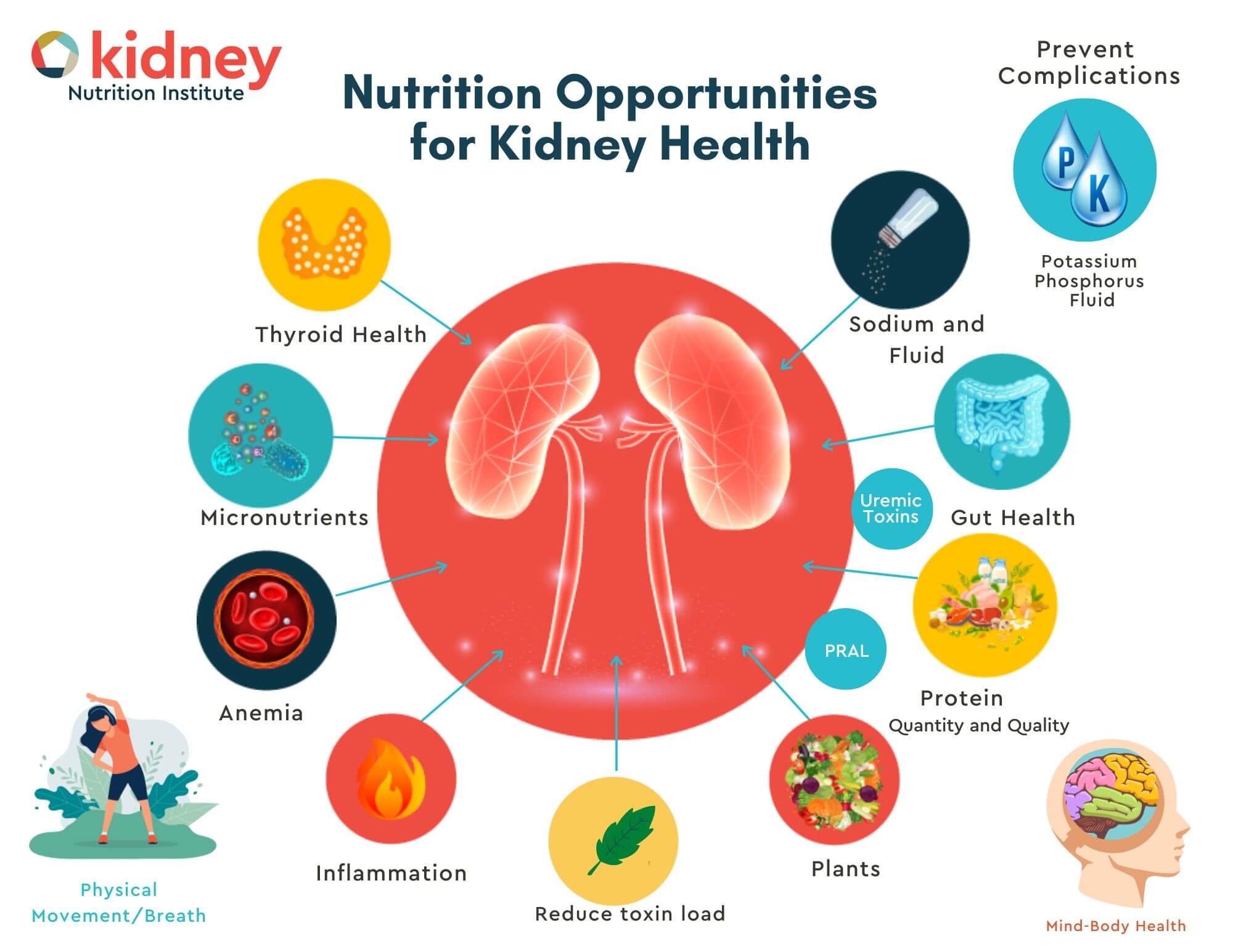 CKD: Privatepractice_Nutritionopportunities
